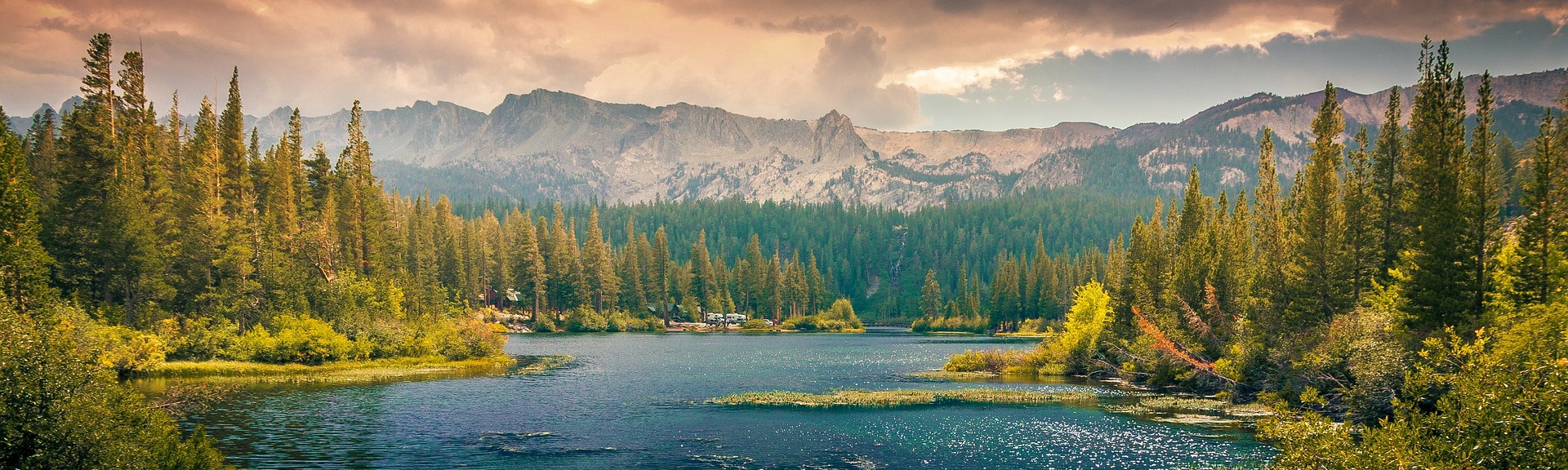 Кручу верчу. Тесты Максима С.
